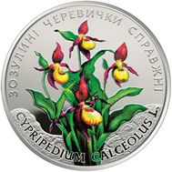  2 гривны 2016 «Кукушкины башмачки настоящие» Украина UNC, фото 1 
