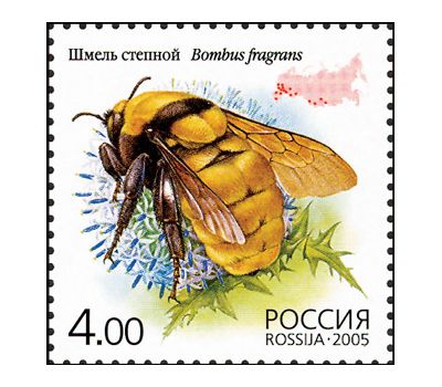  5 почтовых марок «Фауна. Насекомые» 2005, фото 3 