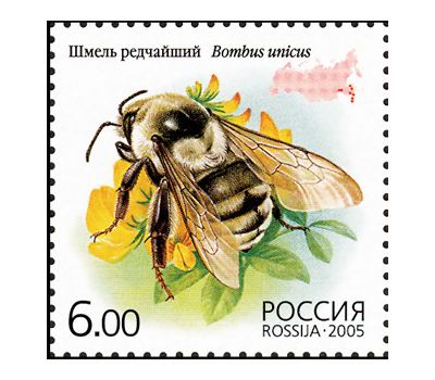  5 почтовых марок «Фауна. Насекомые» 2005, фото 5 