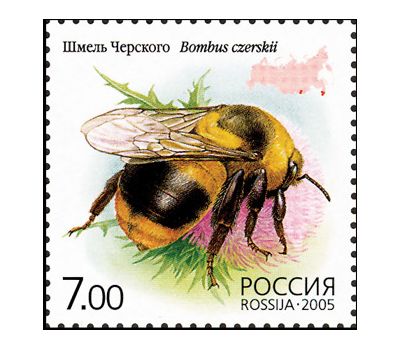  5 почтовых марок «Фауна. Насекомые» 2005, фото 6 