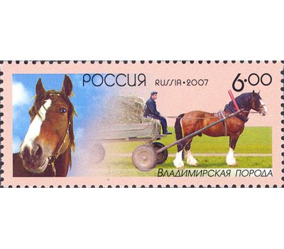  4 почтовые марки «Отечественные породы лошадей» 2007, фото 2 