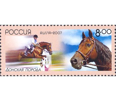  4 почтовые марки «Отечественные породы лошадей» 2007, фото 5 