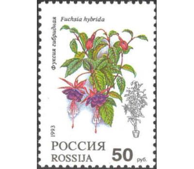  5 почтовых марок «Комнатные растения» 1993, фото 5 
