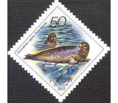  5 почтовых марок «Животные морей Тихоокеанского региона» 1993, фото 2 