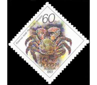  5 почтовых марок «Животные морей Тихоокеанского региона» 1993, фото 3 