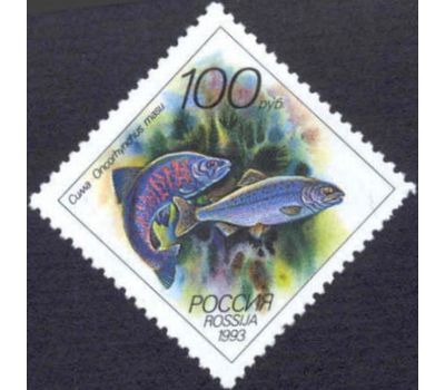  5 почтовых марок «Животные морей Тихоокеанского региона» 1993, фото 5 