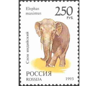  8 почтовых марок «Фауна мира» 1993, фото 2 
