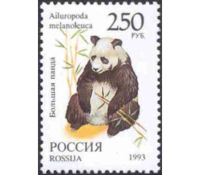  8 почтовых марок «Фауна мира» 1993, фото 6 