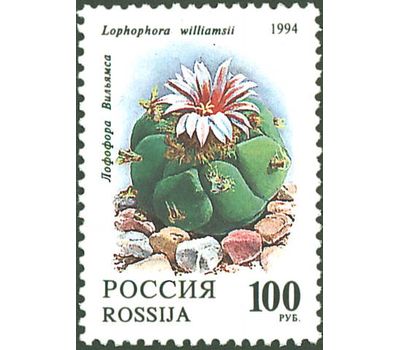  5 почтовых марок «Комнатные растения. Кактусы» 1994, фото 4 