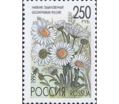 5 почтовых марок «Полевые цветы России» 1995, фото 3 