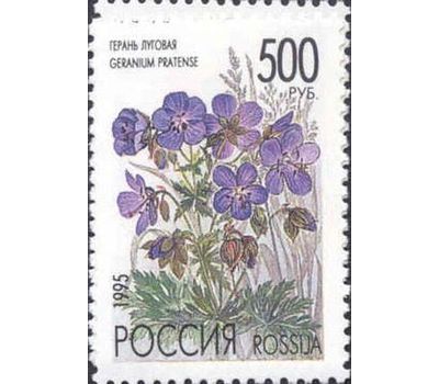  5 почтовых марок «Полевые цветы России» 1995, фото 6 