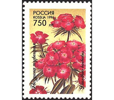  5 почтовых марок «Декоративные растения скверов, садов и парков» 1996, фото 3 