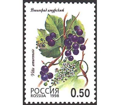 5 почтовых марок «Флора. Лесные ягоды» 1998, фото 2 