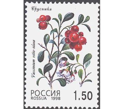  5 почтовых марок «Флора. Лесные ягоды» 1998, фото 4 