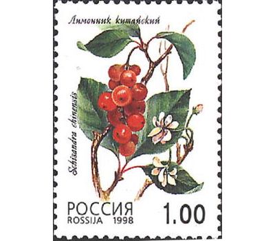  5 почтовых марок «Флора. Лесные ягоды» 1998, фото 6 