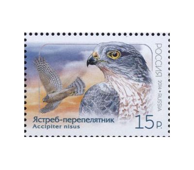  Почтовые марки «Совместный выпуск. Птицы» Россия, КНДР, 2014, фото 2 