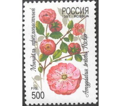  5 почтовых марок «Декоративные кустарники России» 1997, фото 3 