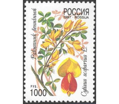  5 почтовых марок «Декоративные кустарники России» 1997, фото 4 