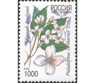  5 почтовых марок «Декоративные кустарники России» 1997, фото 6 