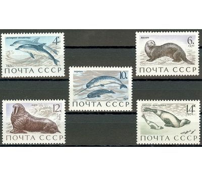  5 почтовых марок «Млекопитающие — обитатели морей и океанов» СССР 1971, фото 1 