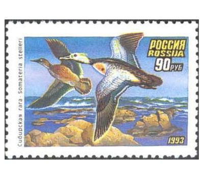  3 почтовые марки «Утки» 1993, фото 2 