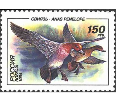  3 почтовые марки «Утки» 1994, фото 2 