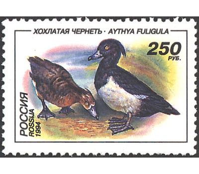  3 почтовые марки «Утки» 1994, фото 3 