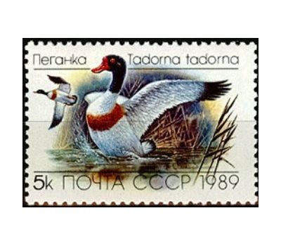  3 почтовые марки «Утки» СССР 1989, фото 2 
