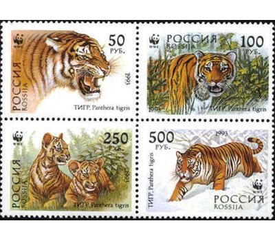  Сцепка «Уссурийский тигр» 1993, фото 1 
