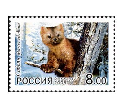  Сцепка «Фауна. Совместный выпуск Россия-КНДР» 2005, фото 2 