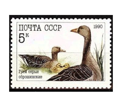  3 почтовые марки «Домашние птицы» СССР 1990, фото 2 