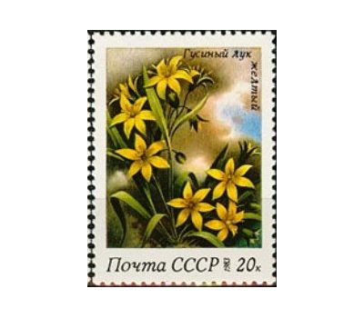 5 почтовых марок «Весенние цветы» СССР 1983, фото 6 