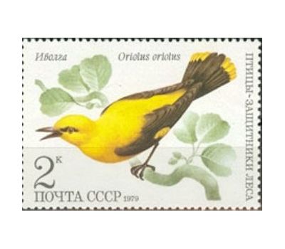  5 почтовых марок «Птицы — защитники леса» СССР 1979, фото 6 