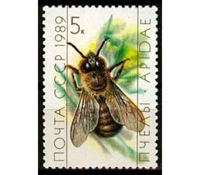  4 почтовые марки «Пчеловодство» СССР 1989, фото 2 