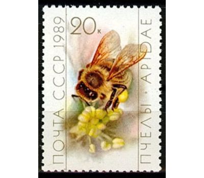 4 почтовые марки «Пчеловодство» СССР 1989, фото 4 