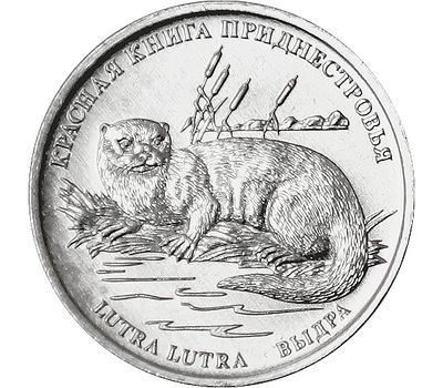  Монета 1 рубль 2018 «Красная книга — Выдра» Приднестровье, фото 1 