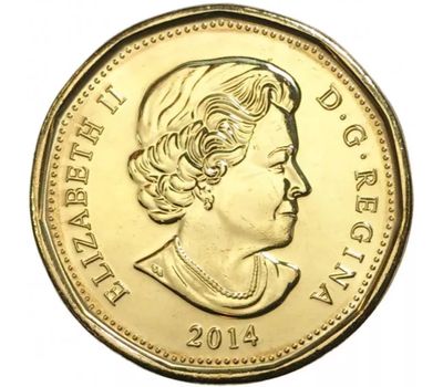  Монета 1 доллар 2014 «Олимпийские игры в Сочи» Канада, фото 2 