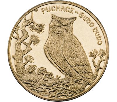  Монета 2 злотых 2005 «Филин (Bubo bubo)» Польша, фото 1 