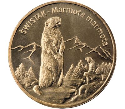  Монета 2 злотых 2006 «Альпийский сурок (Marmota marmota)» Польша, фото 1 