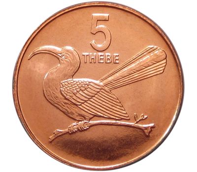  Монета 5 тхебе 1991 Ботсвана, фото 1 