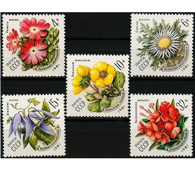  5 почтовых марок «Цветы украинских Карпат» СССР 1981, фото 1 