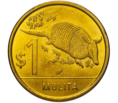  Монета 1 песо 2012 «Броненосец» Уругвай, фото 1 