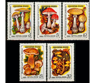  5 почтовых марок «Ядовитые грибы» СССР 1986, фото 1 