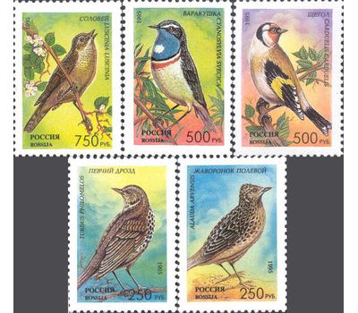  5 почтовых марок «Певчие птицы России» 1995, фото 1 