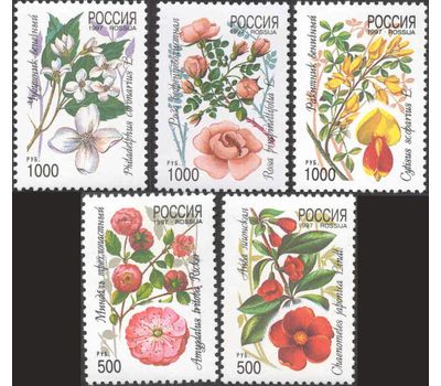  5 почтовых марок «Декоративные кустарники России» 1997, фото 1 