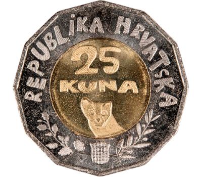  Монета 25 кун 2021 «Международный день защиты детей» Хорватия, фото 2 