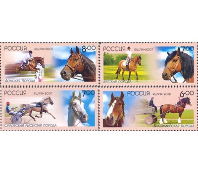  4 почтовые марки «Отечественные породы лошадей» 2007, фото 1 