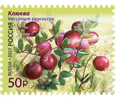  4 почтовые марки «Флора России. Ягоды» 2022, фото 2 