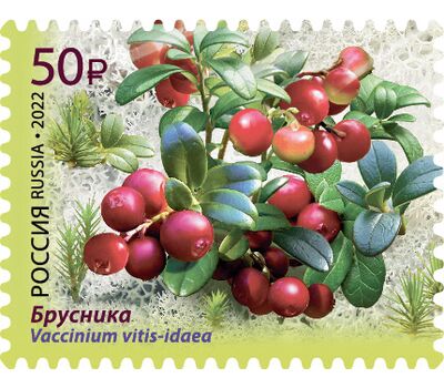  4 почтовые марки «Флора России. Ягоды» 2022, фото 4 