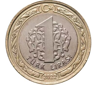  Монета 1 лира 2022 Турция, фото 1 